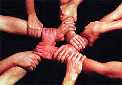 tous contre les masacr des animaux